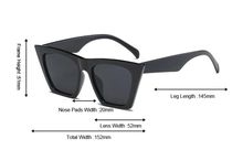 Load image into Gallery viewer, Caresha Sunglasses